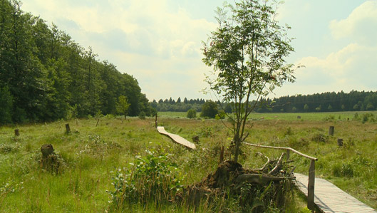 Naturschutzgebiet Todtenbruch